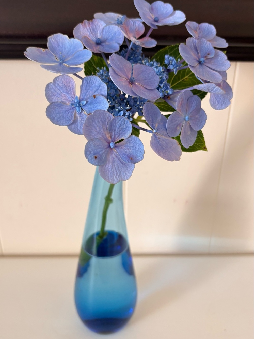 Blue Glass Bud Vase - Brand Unspecified